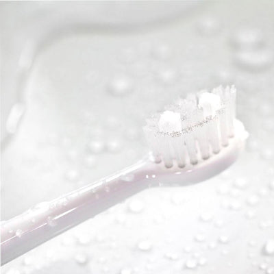 Spotlight Oral Care Toothpaste for Whitening Teeth